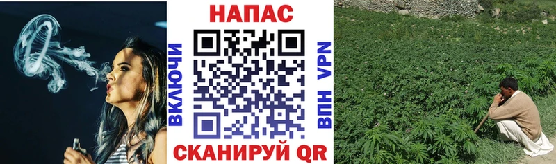 где купить   Балей  кракен   МАРИХУАНА тримм 